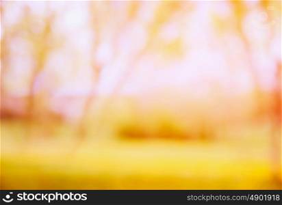 Blurred autumn nature background with tree and yellow lawn