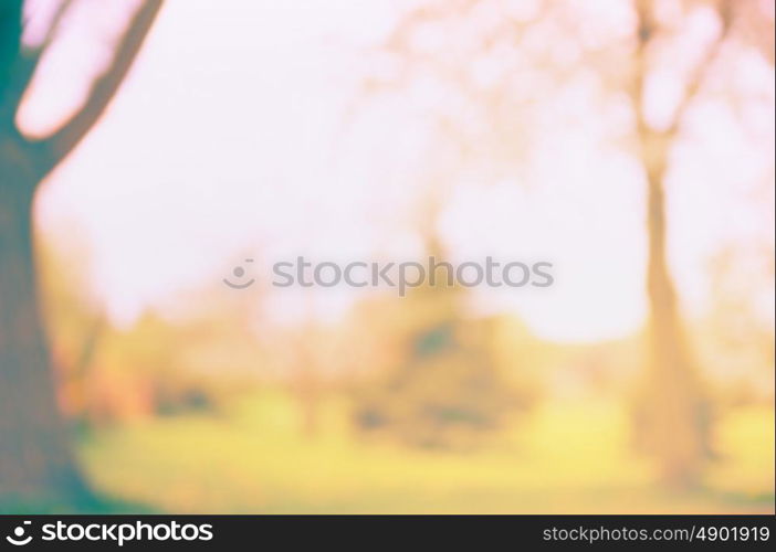 Blurred autumn or summer nature background with tree and lawn