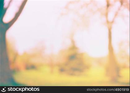 Blurred autumn or summer nature background with tree and lawn