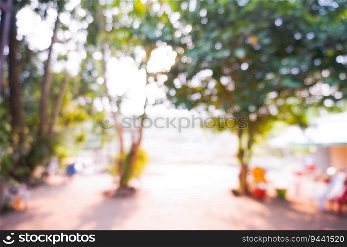 Blurred beautiful nature background blurry of leaf bokeh forest. garden and park with sunlight, use for background 