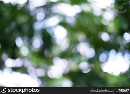 Blurred beautiful nature background blurry of leaf bokeh forest. garden and park with sunlight, use for background with perspective