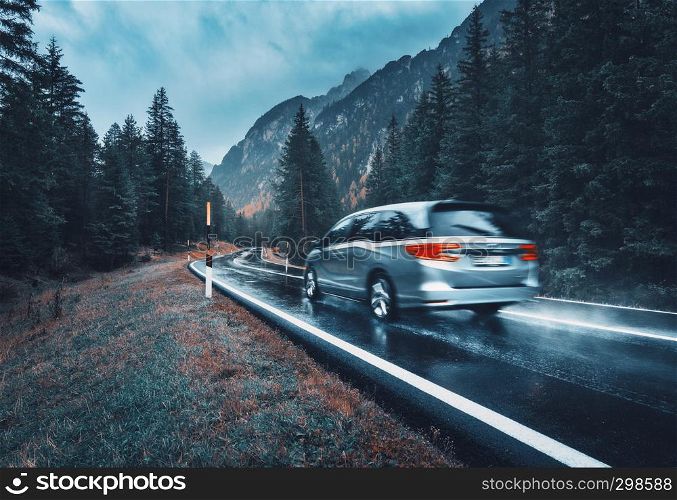 Blurred car in motion on the road in autumn forest in rain. Perfect asphalt mountain road in overcast rainy day. Roadway, pine trees in italian alps. Transportation. Highway in foggy woodland. Travel