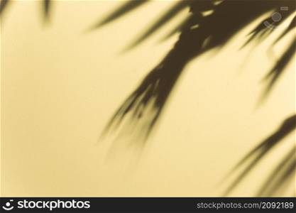 blurred dark leaves shadow beige background