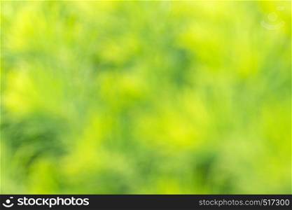 Blurred defocused juicy green grass on sunny day, abstract background texture for your design.. Blurred defocused juicy green grass on sunny day, abstract background texture for your design