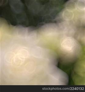blurred flower background
