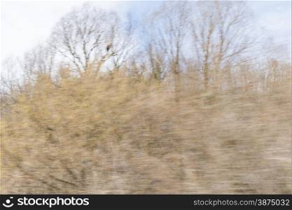 Blurred forest trees at high speed