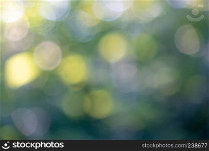 Blurred green background with blue and green bokeh circles. Abstract natural layout. Yellow and blue bokeh circles on a blurred natural green background. Beautiful layout for your ideas