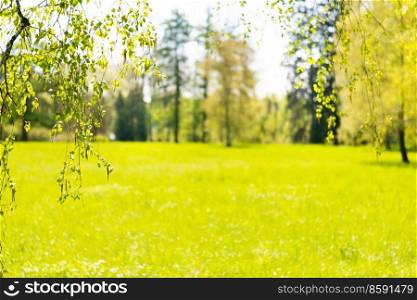 Blurred green leaves and nature green abstract background