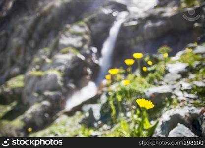 Blurred Landscape with Waterfall and mountains flowers.