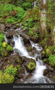 Blurred motion shot of stream flowing over green moss-covered rocks in remote forest