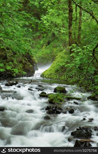 Blurred motion shot of stream flowing through remote forest