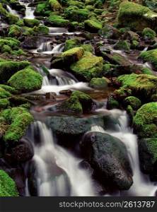 Blurred motion shot of stream through moss covered rocks