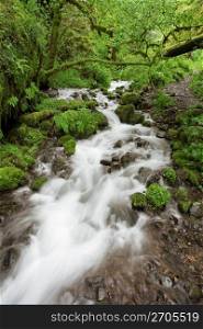 Blurred motion stream splashing over rocks in remote wooded area