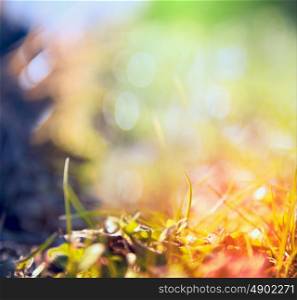 blurred multicolored nature background with sunshine,light and bokeh