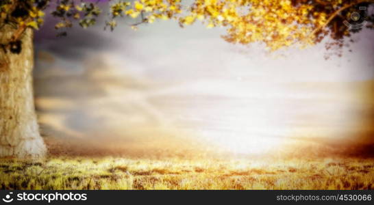 Blurred nature background with big tree, grass and beautiful sky, banner