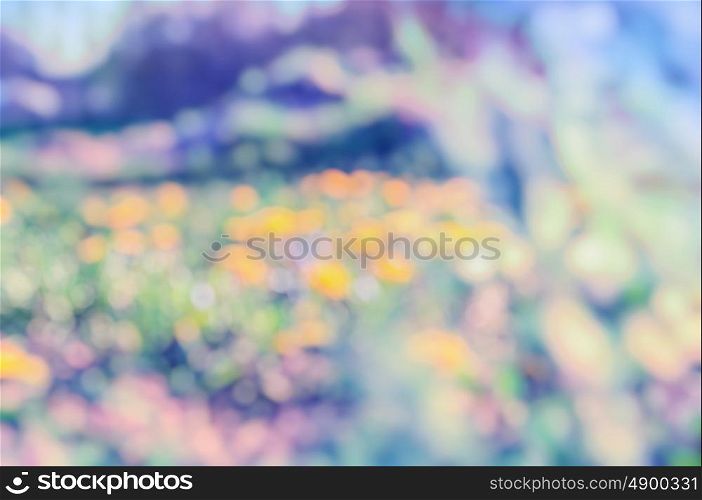 Blurred nature background with dandelion field, toned
