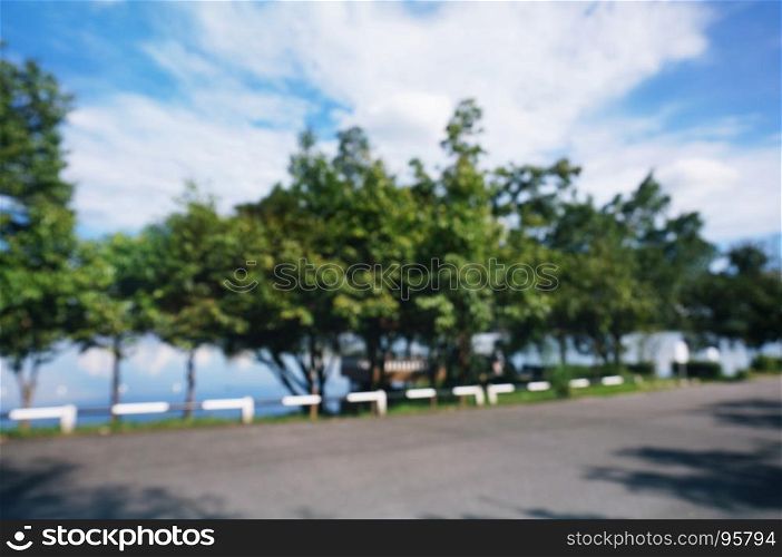 Blurred of beautiful nature Green tree forest background. with copy space