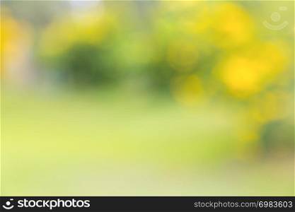 Blurred of green yellow nature tree in park background, day light summer season, soft bokeh. Abstract, wallpaper, eco environment concepts.