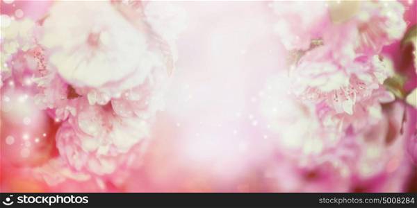 Blurred pale pink floral nature background with bokeh, banner