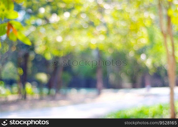 Blurred park with bokeh light, nature background, spring and summer season