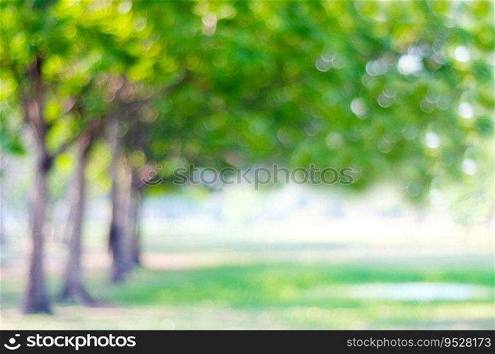 Blurred park with bokeh light, nature background, spring and summer season