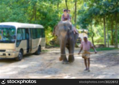 Blurred photo riding on elephant with guide.