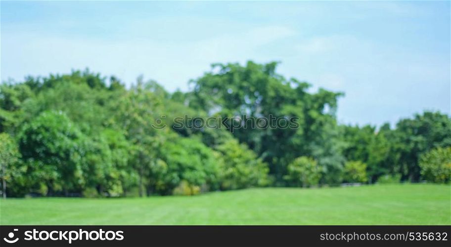 Blurred spring nature background, Blur greenry park and blue sky background
