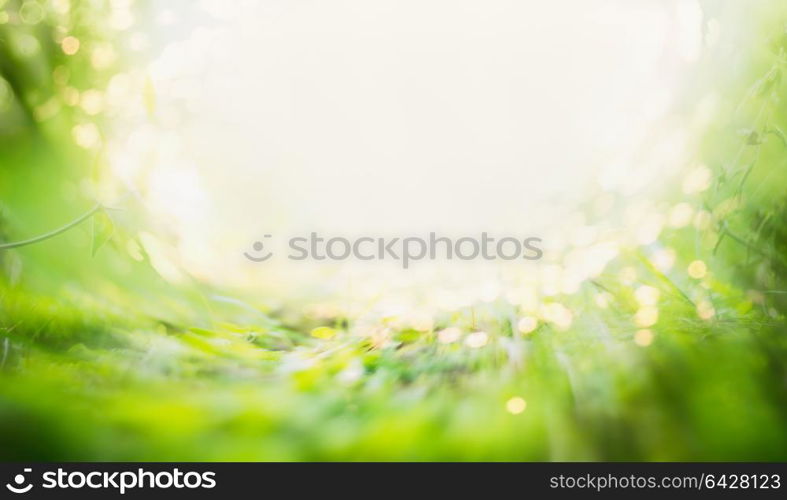 Blurred summer background with green grass and sun shine with bokeh