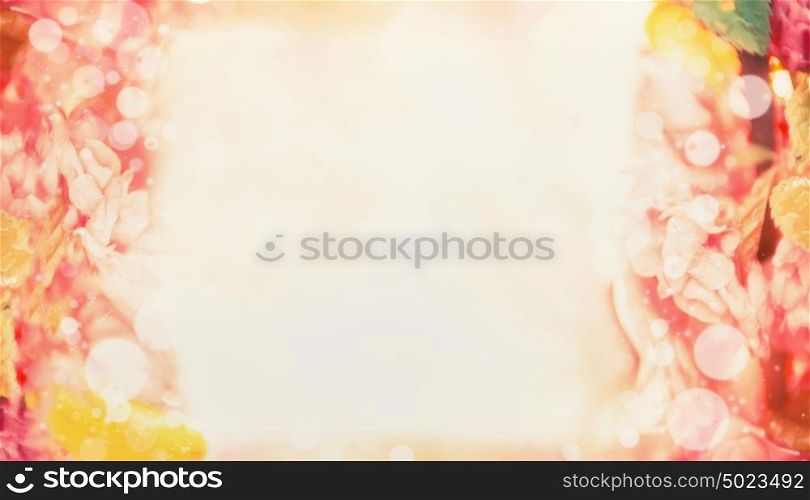 Blurred Summer flowers blooming background, banner