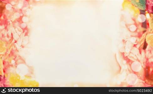 Blurred Summer flowers blooming background, banner