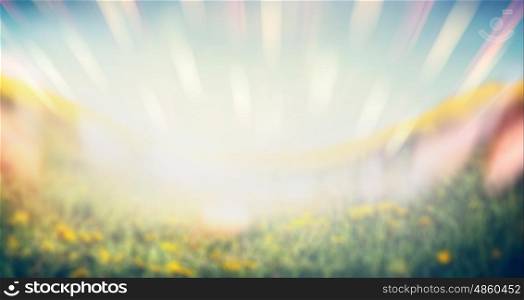 Blurred summer nature background with flowers, grass and sun rays