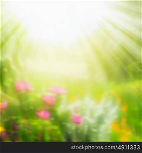 Blurred summer nature background with sun rays
