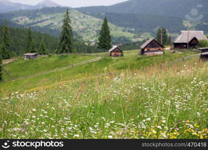 blurred wooden houses on hills at the mountains Focus on a grass at foreground
