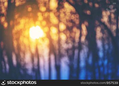 Blurry and spectacular sunset shining through a forest silhouette in winter