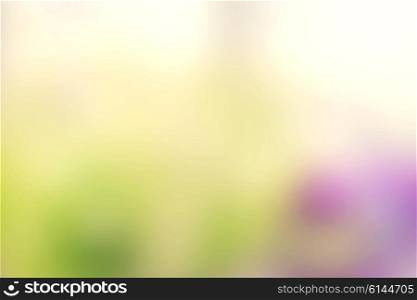 Blurry easter background in green and violet color
