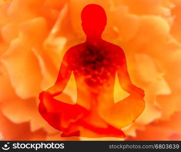 Blurry flower background with woman doing yoga