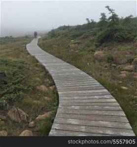 Boardwalk at Division No. 9, Subd. A, Gros Morne National Park, Newfoundland And Labrador, Canada