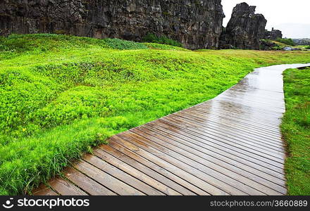 boardwalk in forest