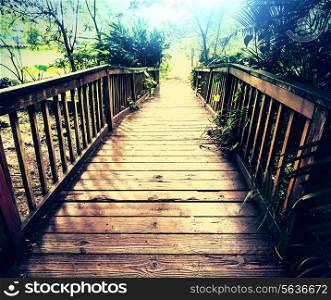 boardwalk in forest
