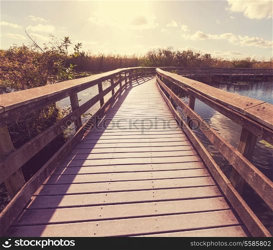 Boardwalk in swamp