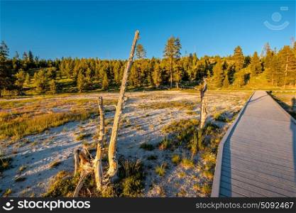 Boardwalk in Yellowstone National Park, Old Faithful area, Wyoming, USA