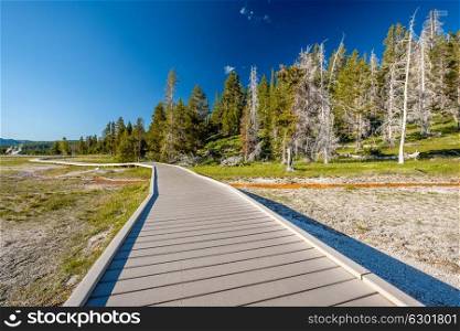 Boardwalk in Yellowstone National Park, Old Faithful area, Wyoming, USA
