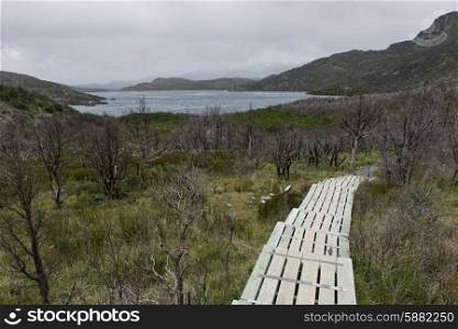 Boardwalk near a lake, W-Trek, Torres del Paine National Park, Patagonia, Chile