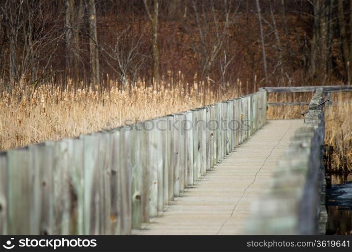 Boardwalk over a marsh