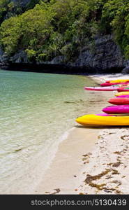 boat coastline of a green lagoon and tree south china sea thailand kho phangan bay