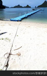 boat coastline of a green lagoon and tree south china sea thailand kho phangan bay