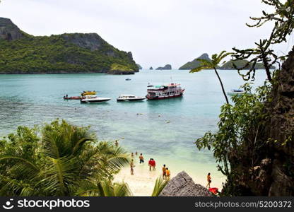 boat coastline of a green lagoon and tree south china sea thailand kho phangan bay