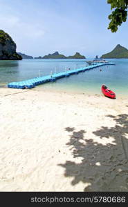 boat coastline of a green lagoon and tree south china sea thailand kho phangan bay