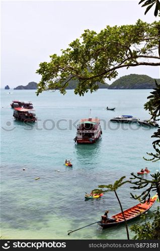 boat coastline of a green lagoon and tree south china sea thailand kho phangan bay