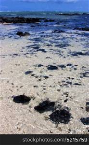 boat foam footstep indian ocean some stone in the island of deus cocos in mauritius blue bay